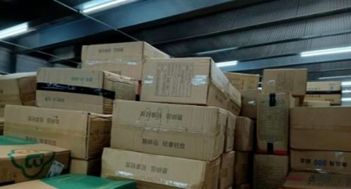 運(yùn)輸750箱一次性不可降解塑料制品入島,這家公司被立案調(diào)查